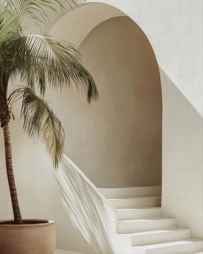 Whitewashed arches and a palm